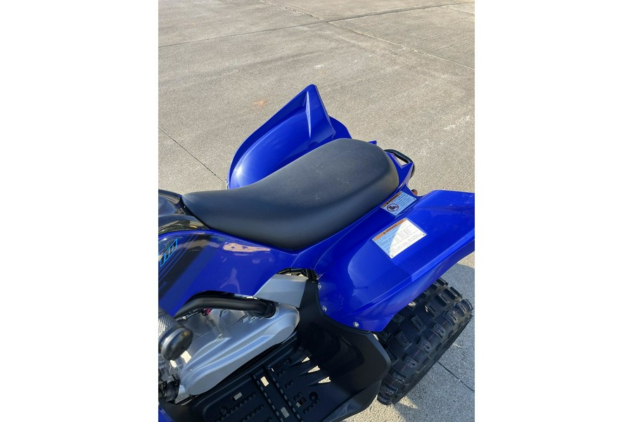 2024 Yamaha Raptor 110