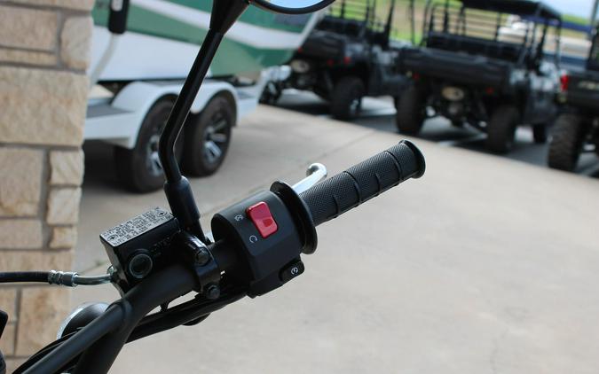 2026 KAWASAKI KLX300