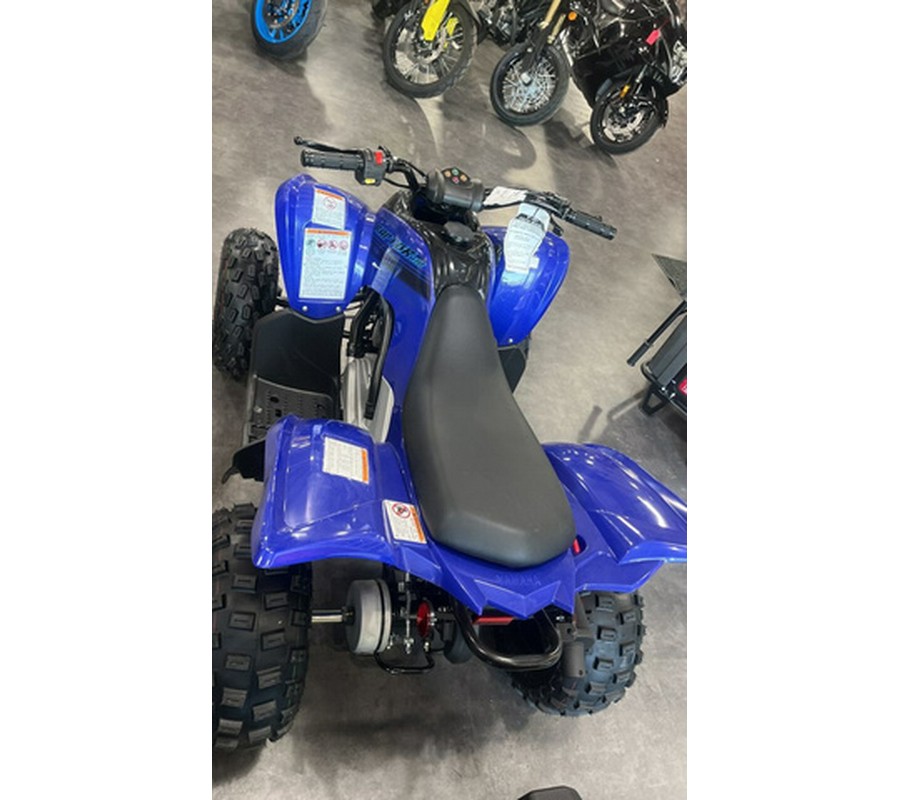 2024 Yamaha Raptor 110