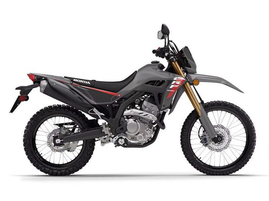 2025 Honda® CRF300LS