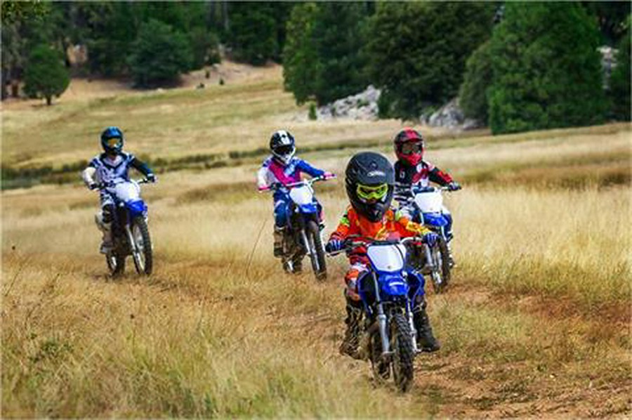 2018 Yamaha TT-R110E