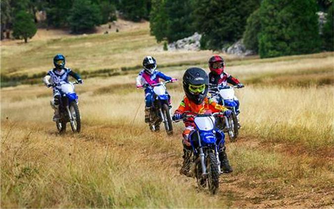 2018 Yamaha TT-R110E