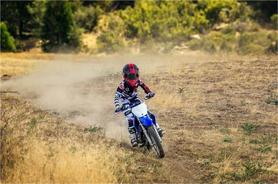 2018 Yamaha TT-R110E