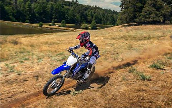 2018 Yamaha TT-R110E