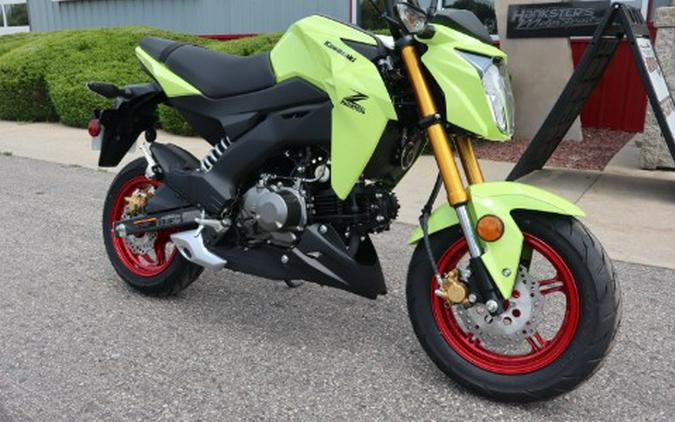 2026 Kawasaki Z125 Pro