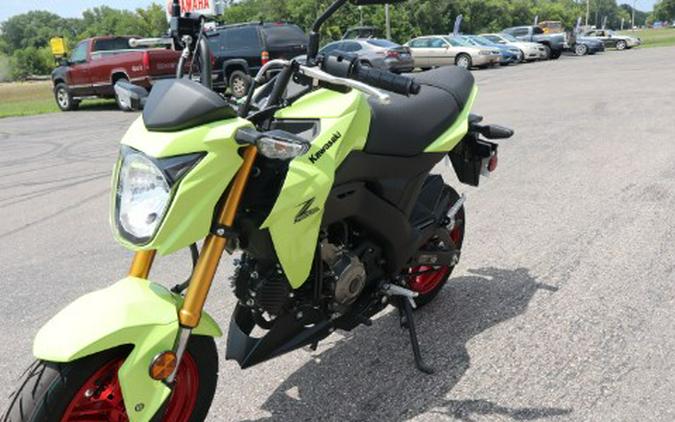 2026 Kawasaki Z125 Pro