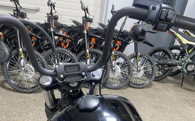 2019 Harley-Davidson Softail® Street Bob®