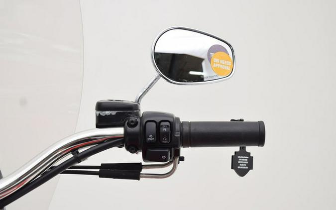 2010 Harley-Davidson FLSTN - Softail Deluxe