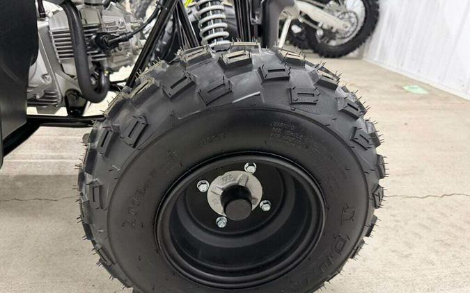 2026 Yamaha Raptor 110