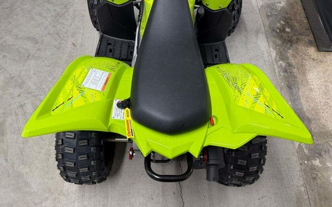 2026 Yamaha Raptor 110