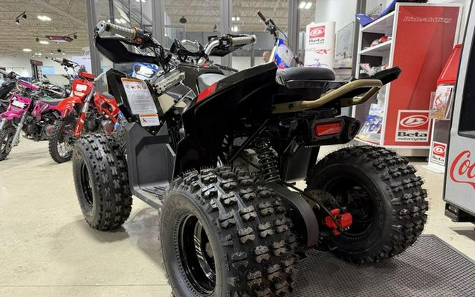 2026 Denago Powersports Trailhawk 10 FI
