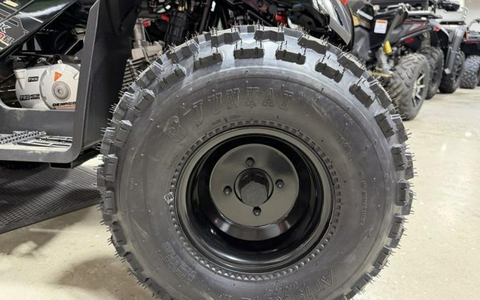 2026 Denago Powersports Trailhawk 10 FI