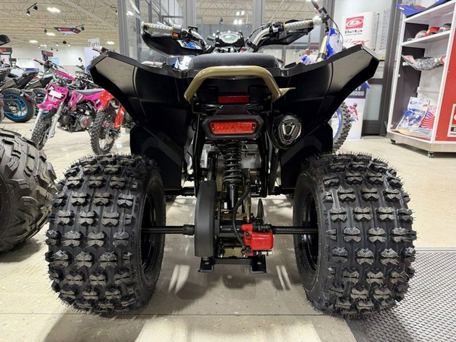 2026 Denago Powersports Trailhawk 10 FI