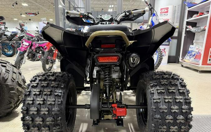2026 Denago Powersports Trailhawk 10 FI