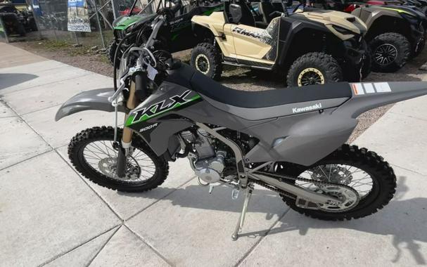 2024 Kawasaki KLX®300R