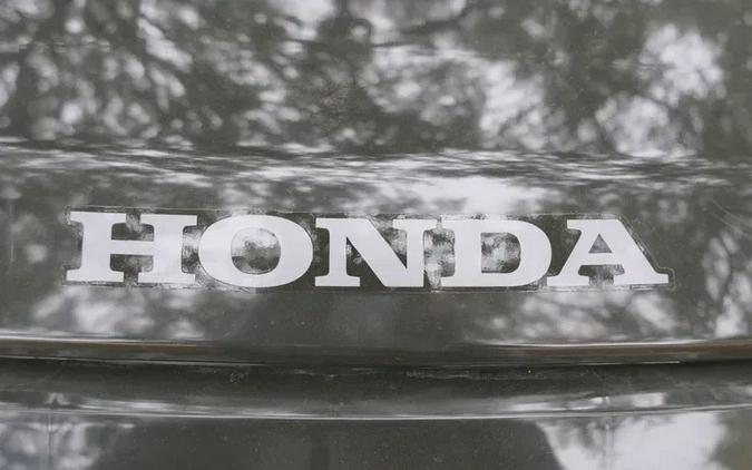 2025 HONDA PIONEER 10006 DELUXE CREW