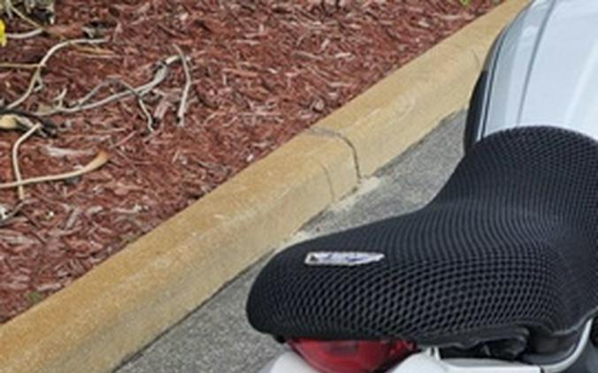 2022 DUCATI Scrambler Desert Sled Sparking Blue