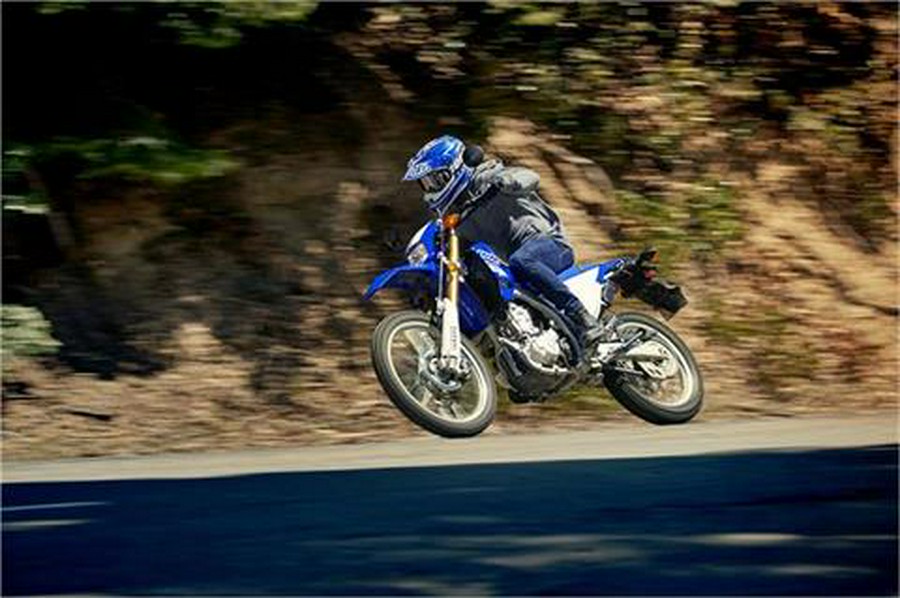 2019 Yamaha WR250R