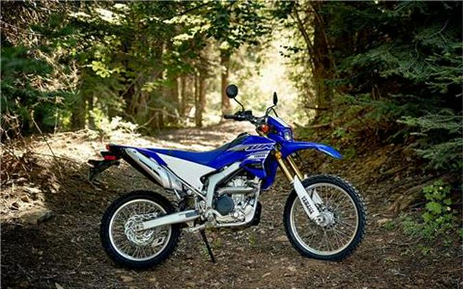 2019 Yamaha WR250R