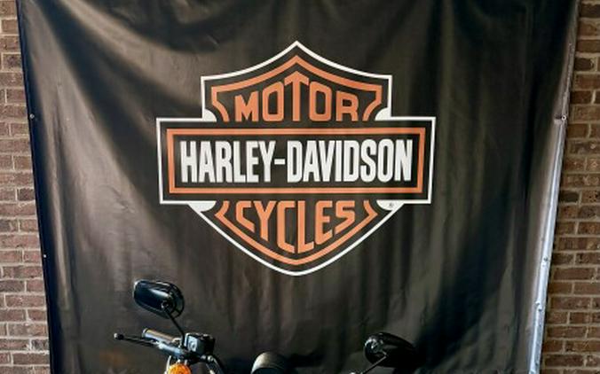 2019 Harley-Davidson Iron 883