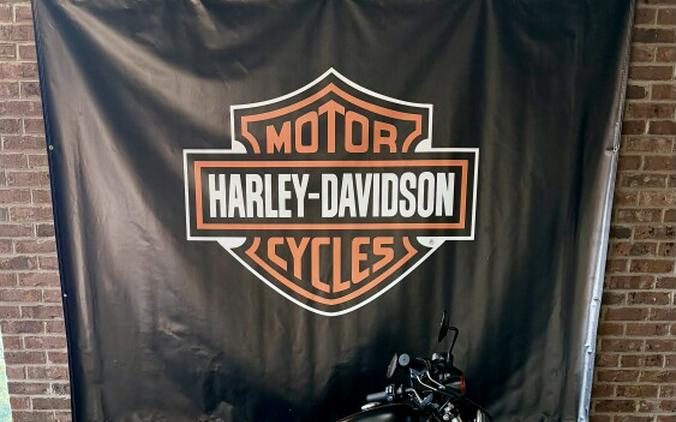 2019 Harley-Davidson Iron 883