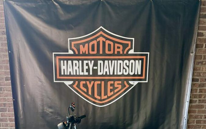 2019 Harley-Davidson Iron 883