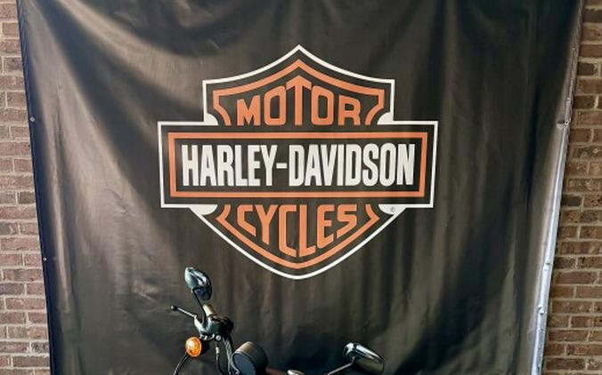 2019 Harley-Davidson Iron 883