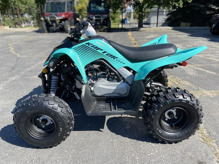 2025 Yamaha RAPTOR 110