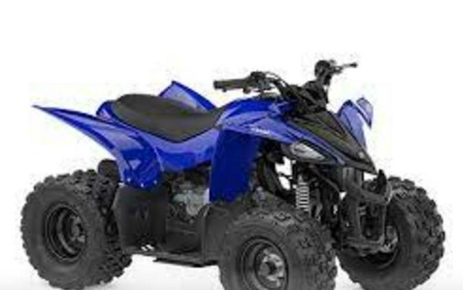 2025 Yamaha RAPTOR 110