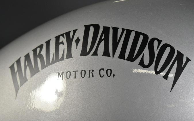 2020 Harley-Davidson Breakout 114 Barracuda Silver