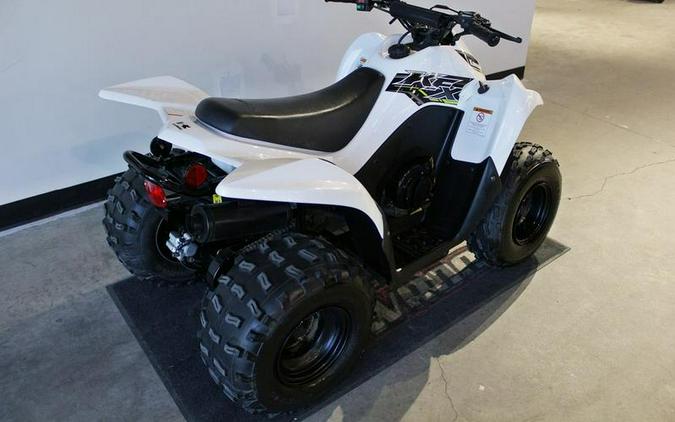 2019 Kawasaki KFX®90