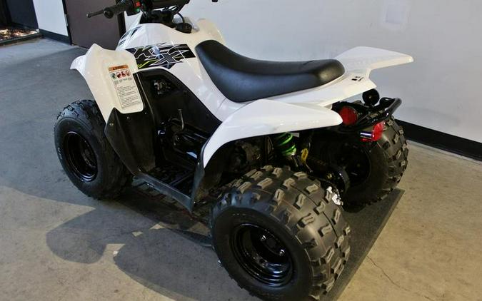 2019 Kawasaki KFX®90