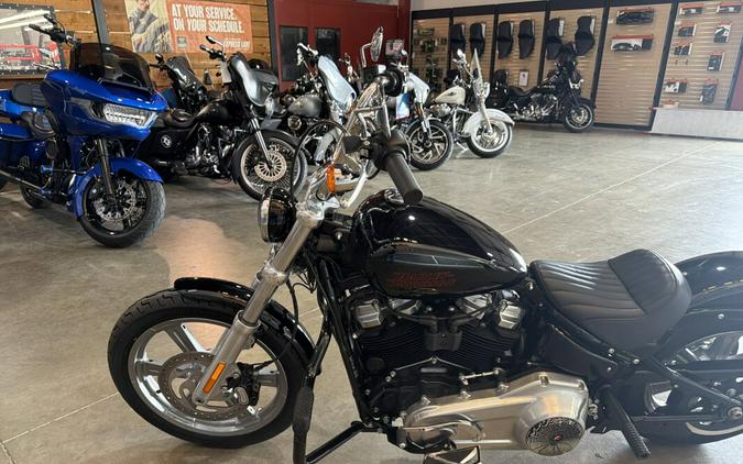 FXST 2024 Softail™ Standard
