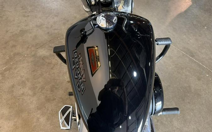 FXST 2024 Softail™ Standard