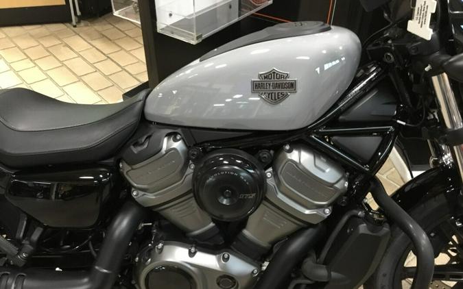 2024 Harley-Davidson® Nightster® Billiard Gray