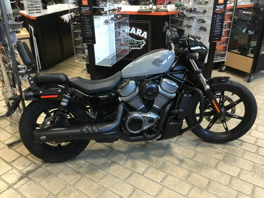 2024 Harley-Davidson® Nightster® Billiard Gray