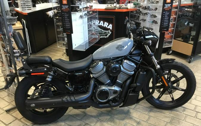 2024 Harley-Davidson® Nightster® Billiard Gray