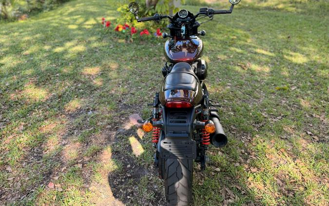 2019 Harley-Davidson Street Rod®