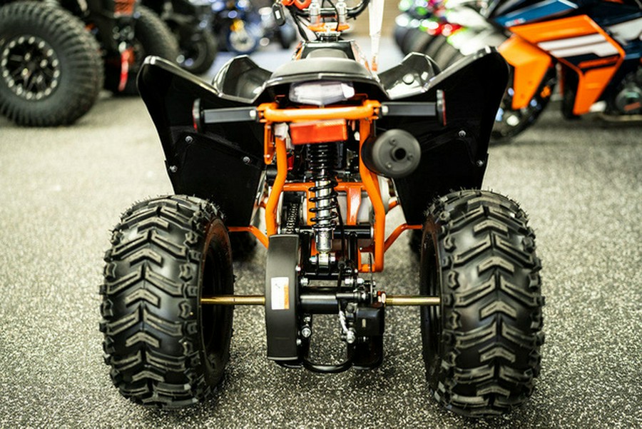 2026 Kayo Fox / Storm 70