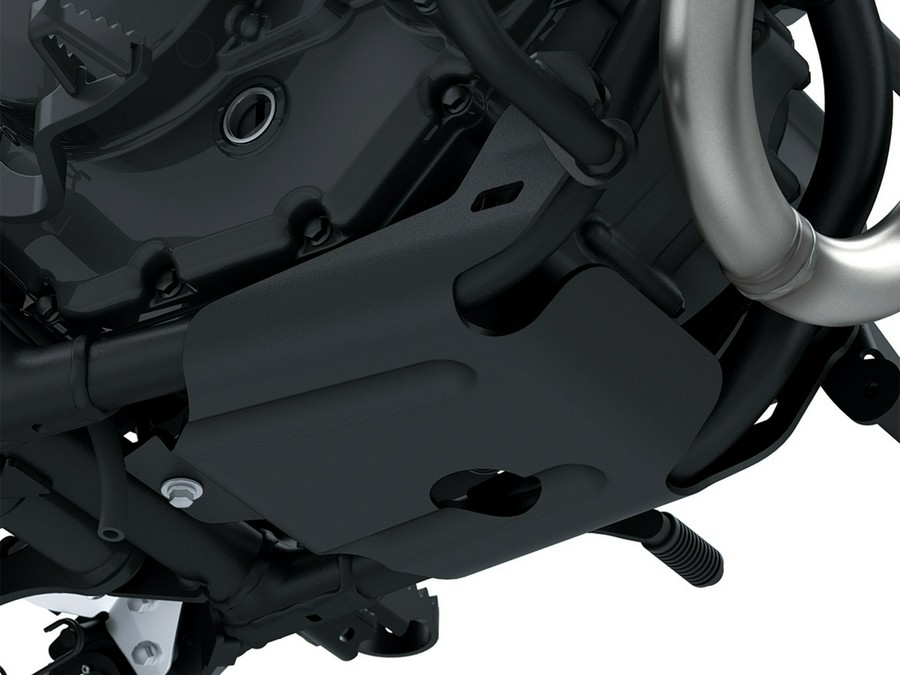 2026 Kawasaki KLX 230 DF ABS