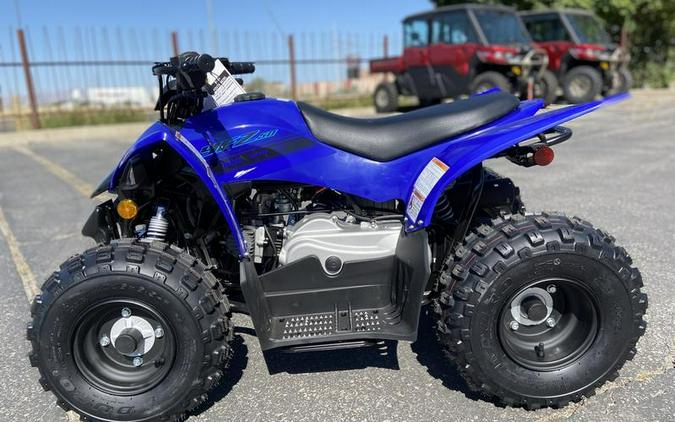 2025 Yamaha YFZ50