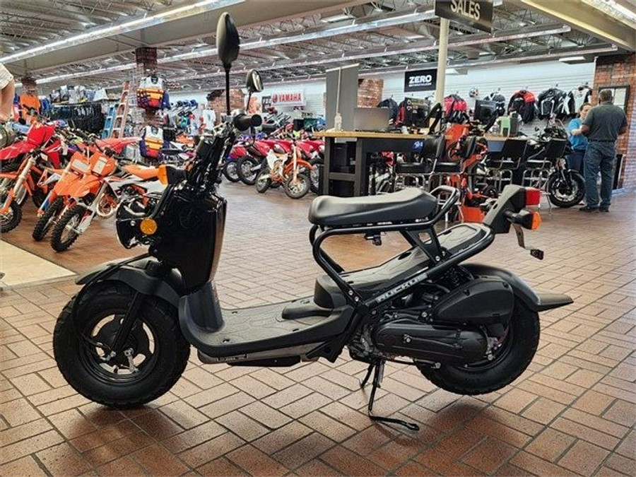 New 2024 Honda Ruckus