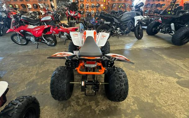 2026 Kayo Storm 150 EFI