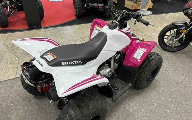 2023 Honda TRX90X