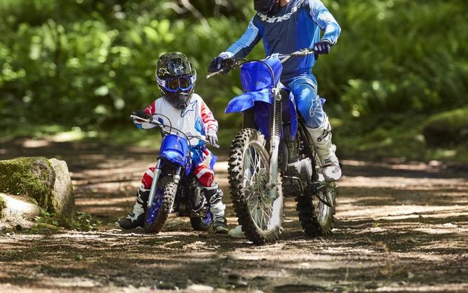 2026 Yamaha Motor Corp., USA TT-R230