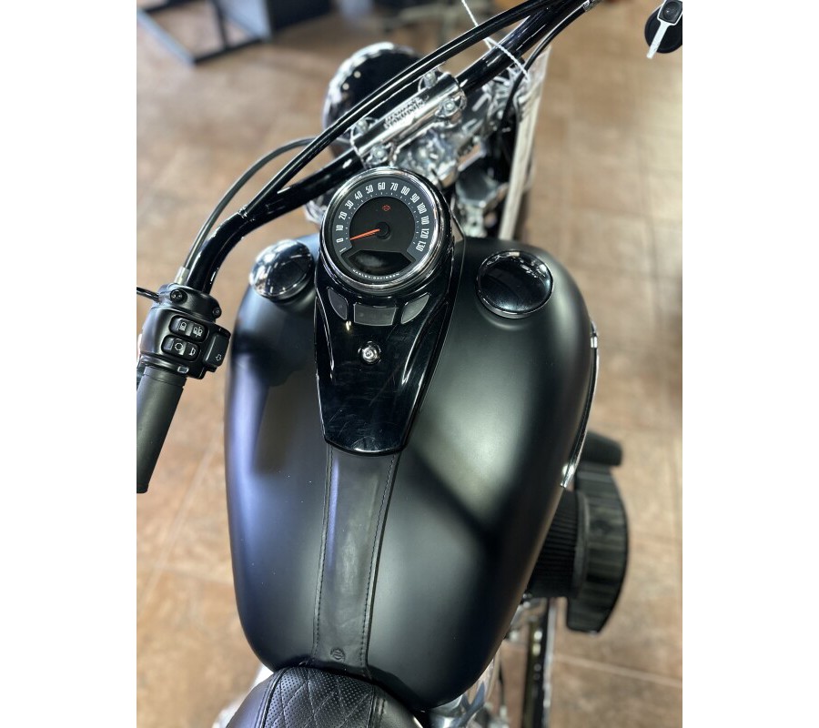 FLSL 2020 Softail Slim