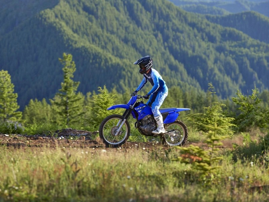 2026 Yamaha Motor Corp., USA TT-R230