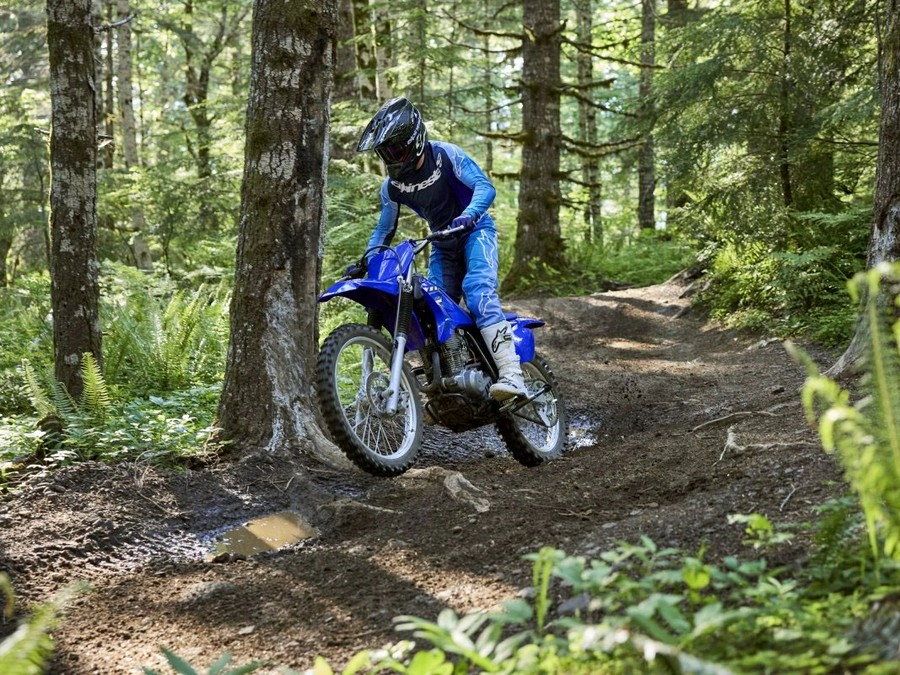 2026 Yamaha Motor Corp., USA TT-R230