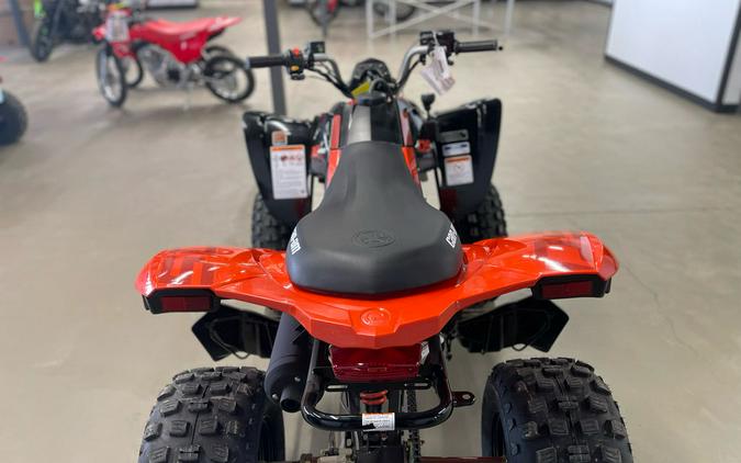 2026 Can-Am® DS 250