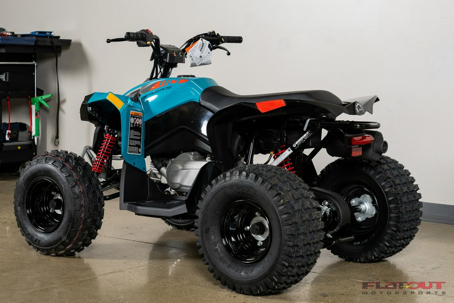 2024 Can-Am RENEGADE 110